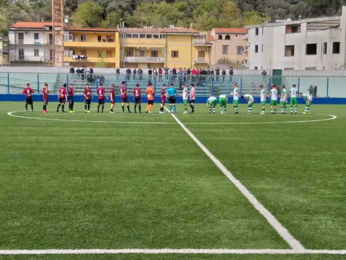 56510885_993266530879396_7601674058983276544_n