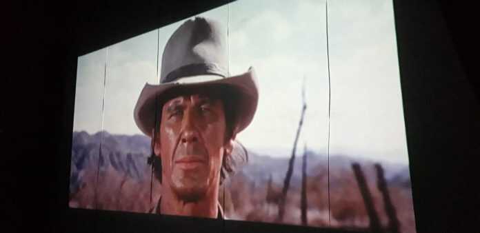 57358203_10217005277221909_6679982929189273600_o