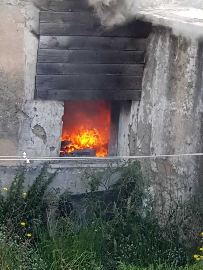 58639074_276319476655417_7961727154591367168_n