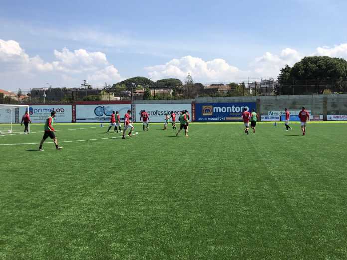 97AFD87C-3767-4DD9-8E89-46208CCFACF9