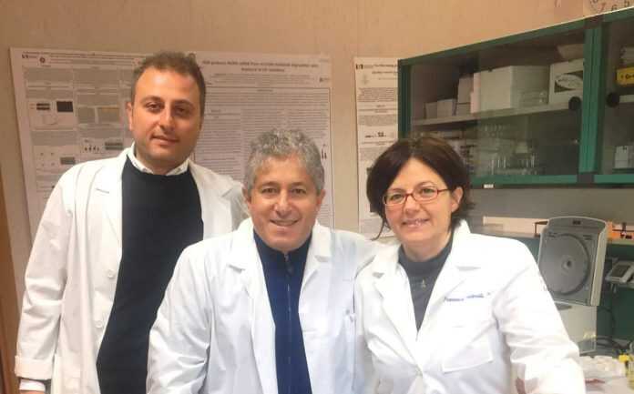 FB_IMG_1554901202922