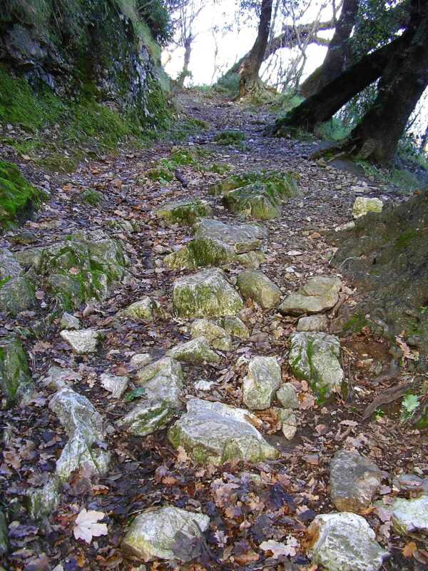 Castellammare. Tragedia a Quisisana, uomo muore nei boschi