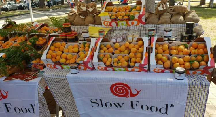 Boscoreale, torna il Mercato della Terra