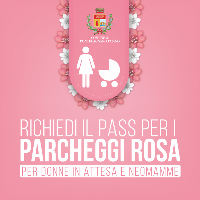 60495331_2190964924357170_738241381385895936_n