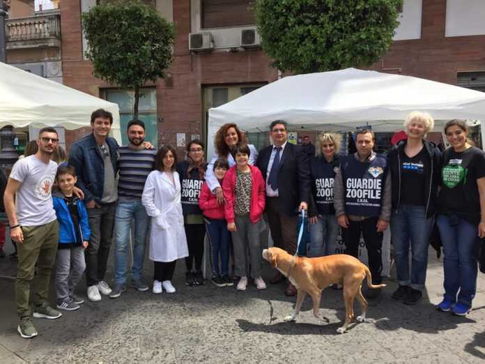 60552634_10217253701607048_5469697871441821696_n