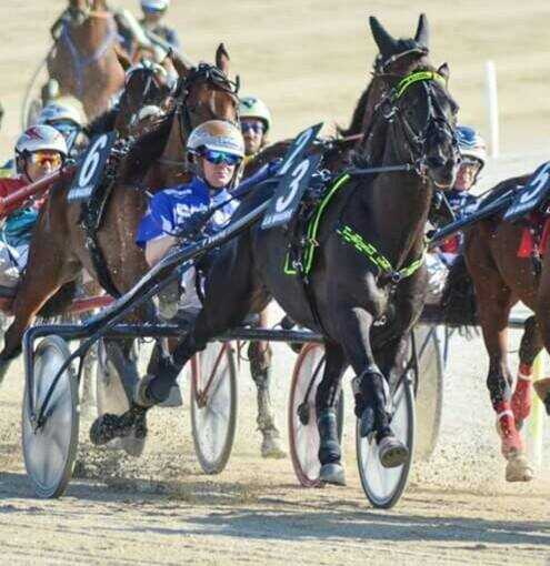 Boscotrecase. Lettieri shock: “Vogliono distruggere Timone Ek”