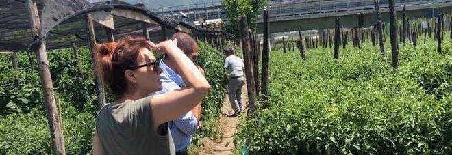 4562926_1616_elena_sofia_ricci.jpg.pagespeed.ce.NNhLN8M5LM