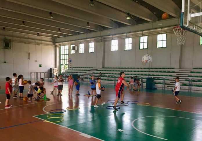 64785955_2251138298483640_3239683798329196544_n