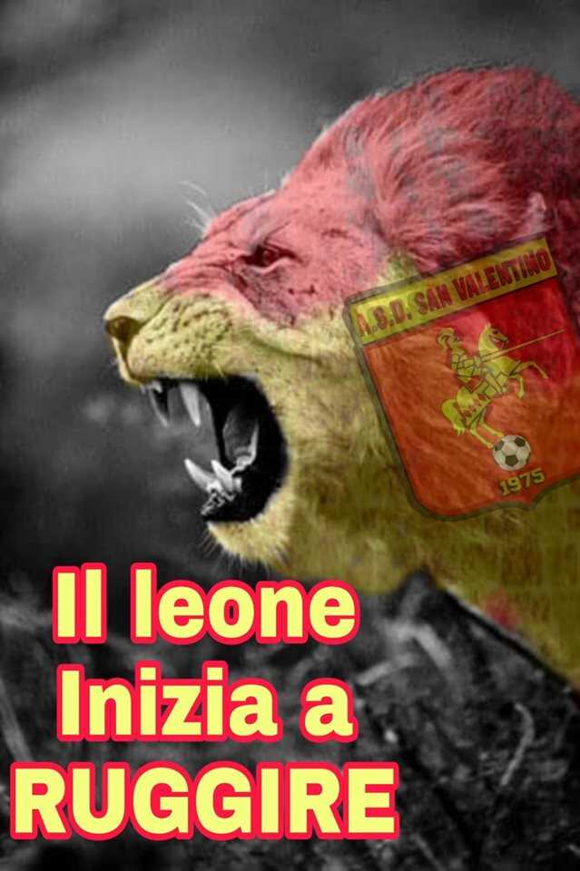 64956759_10215528885921631_9105443749713936384_n