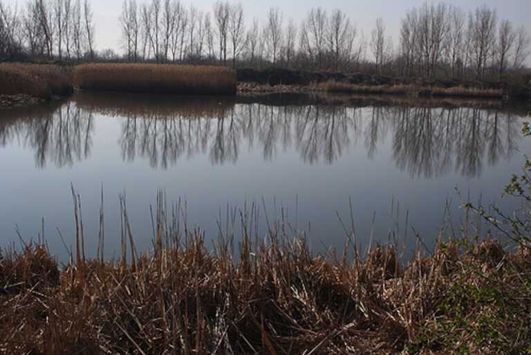 Poggiomarino. Nappo al vetriolo sul caso vasche Fornillo e Pianillo