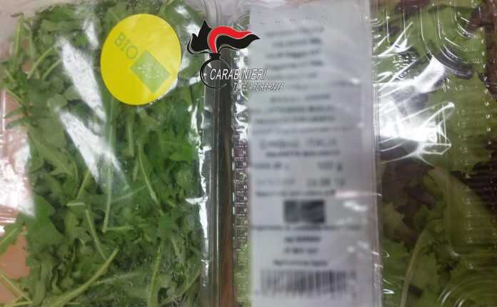 03.07.2019 - lattughino finto bio