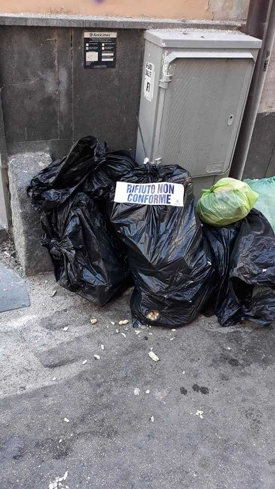 66702405_10219012156120087_8525753581435879424_n