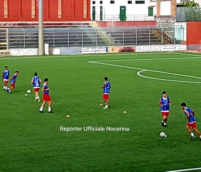 67247418_1575453635918175_8944232659064717312_n