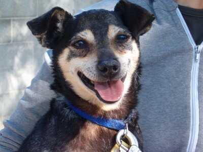 FB_IMG_1562443992255