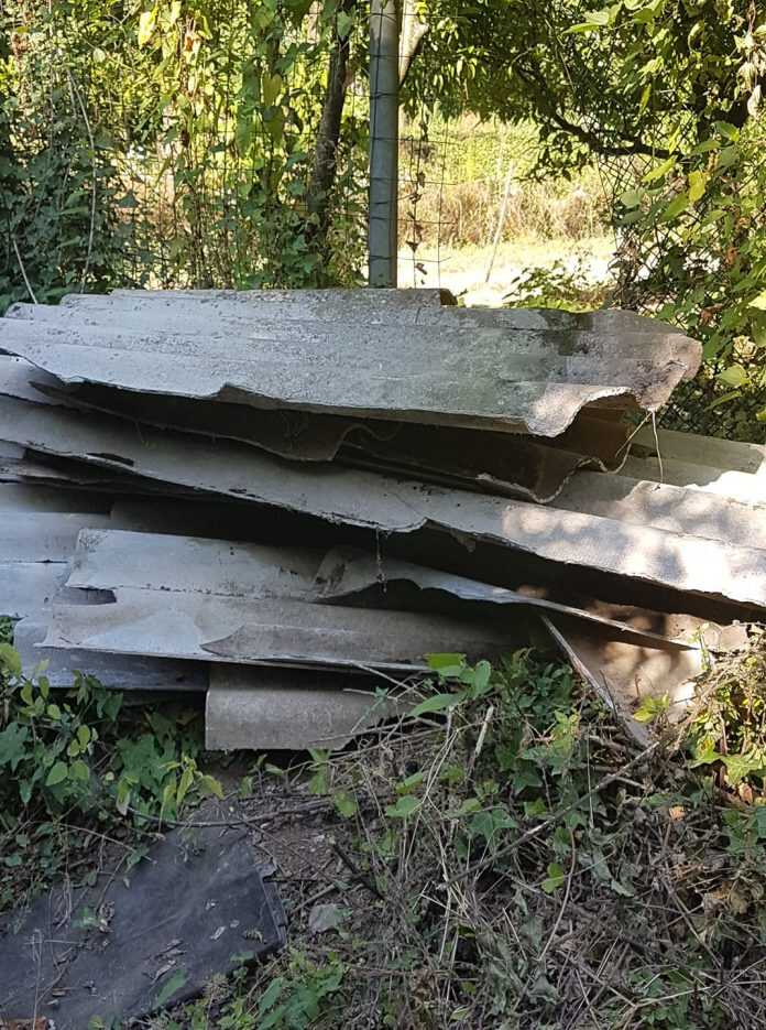 FB_IMG_1564243919905