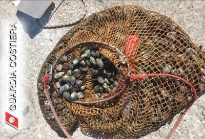 Fiume Sarno, altre vongole pescate in zona non autorizzata