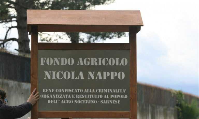 Scafati, ennesimo furto al Fondo Agricolo Nappo
