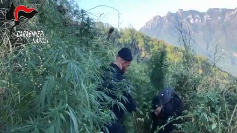 Gragnano, droga e armi in un rudere abbandonato