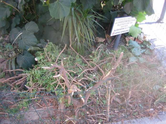 69259783_2307463136019475_4412743833356337152_o