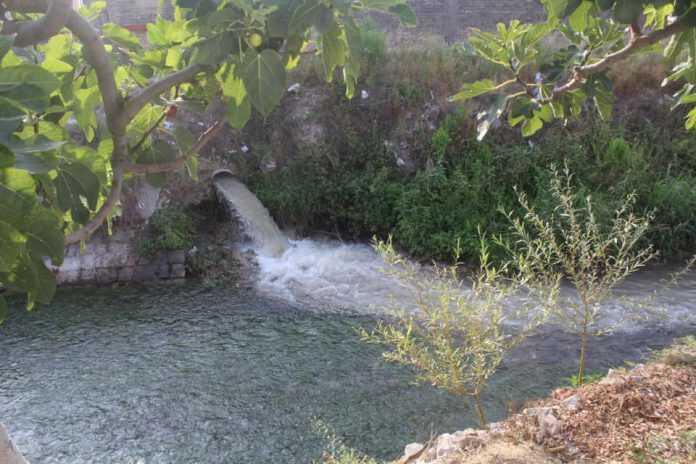 69648934_2655294598074598_3366205378726461440_n