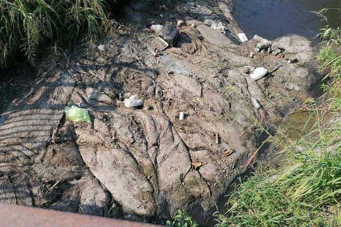 Scafati – Sabato mattina marcia pacifica organizzata da “Scafati Viva”