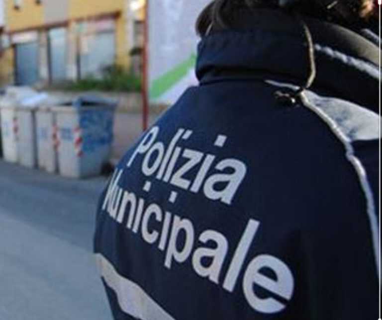 Salerno – Sequestrati 35 kg di “Cannolicchi”.