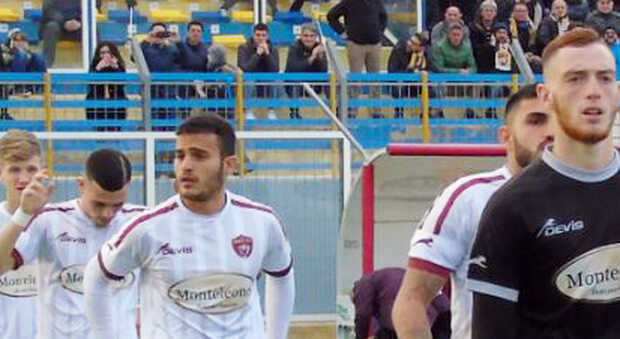 3711846_1608_sarnese5_5