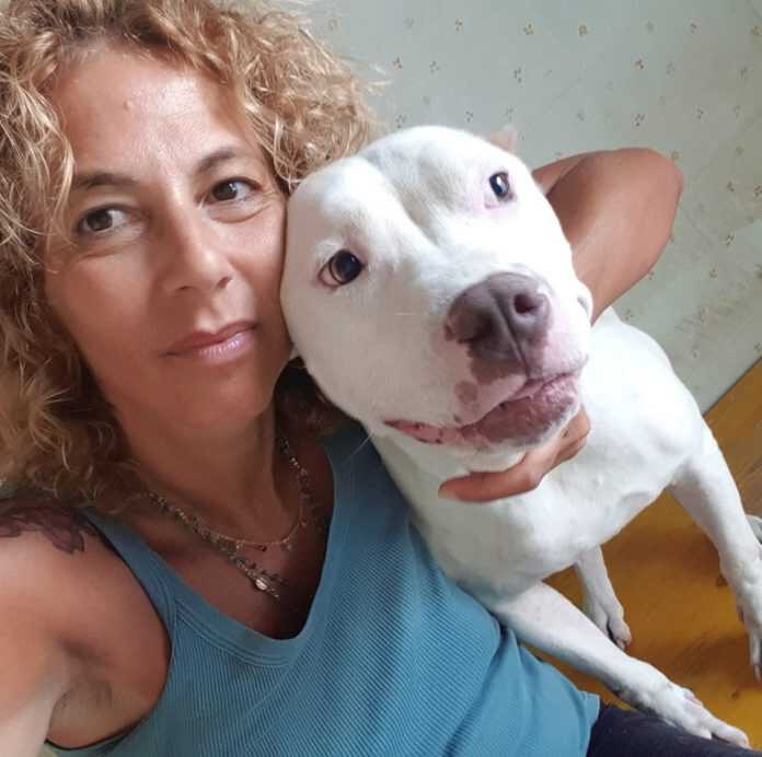 69268736_2349864438416188_5918611993568215040_n