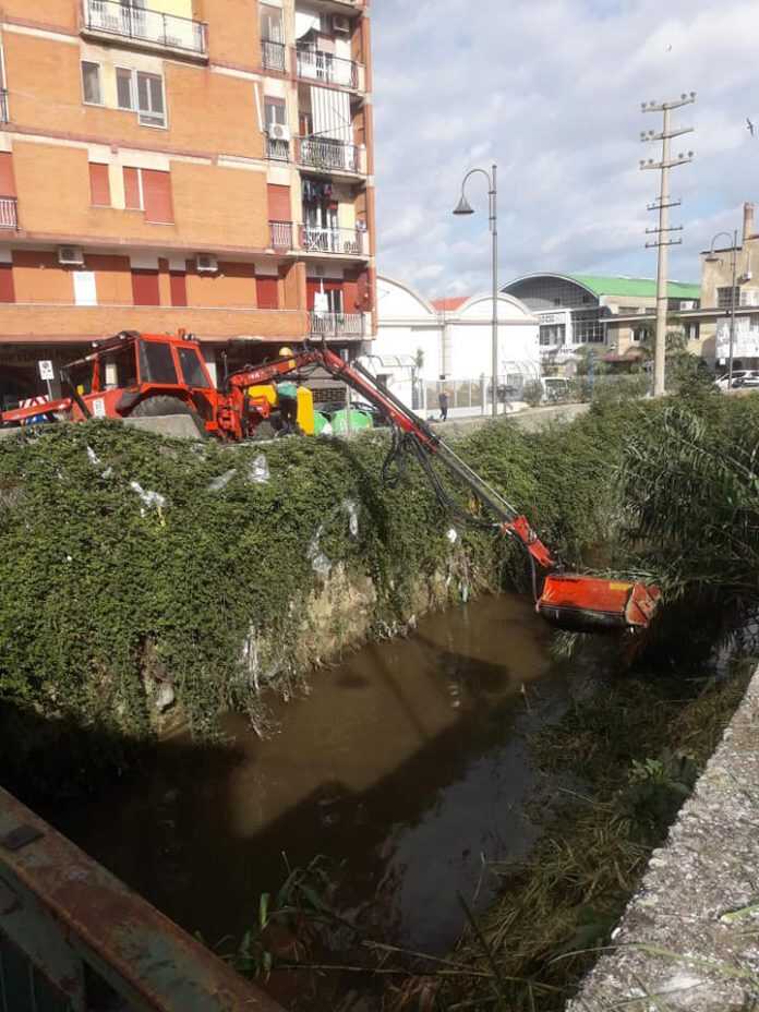 69754488_1175936662589523_7379130813872340992_n