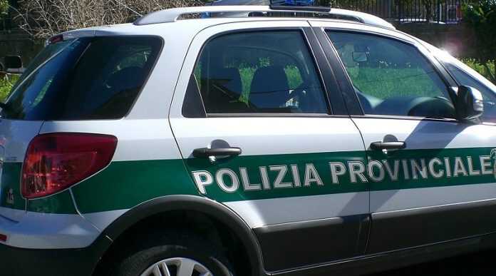 Polizia-Metropolitana