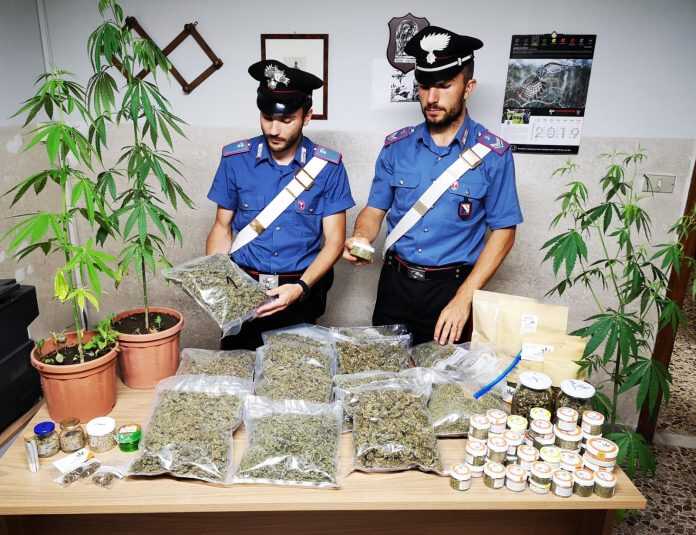 coltivatore marijuana tufino 11.09.2019
