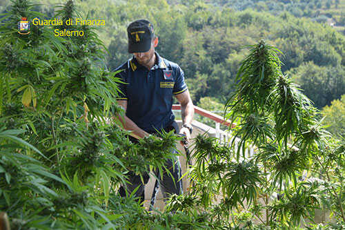 droga-gdf-sequestro-balcone