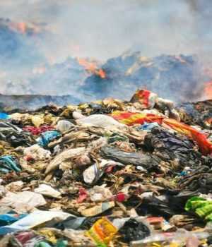 img800-controlli-in-10-aziende-nella-terra-dei-fuochi-142787-300x350