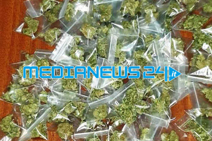 Cava de’ Tirreni. Denunciato un giovane per coltivazione e spaccio di marjuana