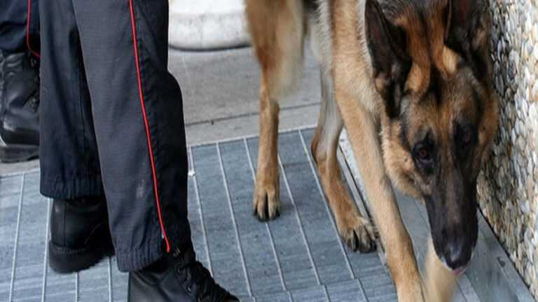 Sarno, “Olli” non sbaglia mai…