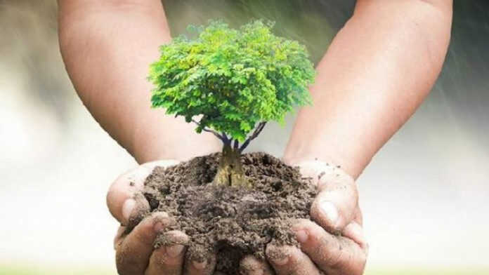 stefano-benni-982x540