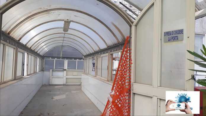 71269111_1448202382000315_3801891993718620160_n