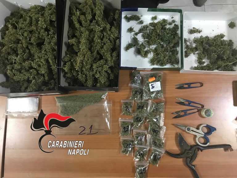 Striano: 8 chili di marijuana in casa e una pianta di cannabis in giardino