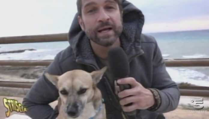 Stoppa. StrisciaLaNotizia