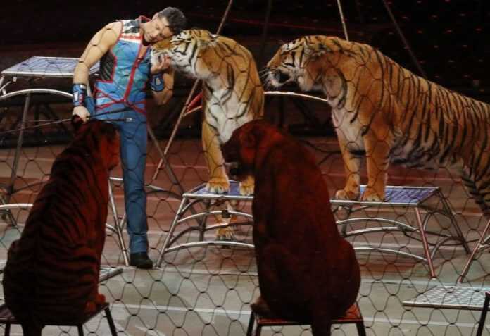 stop-al-circo-in-campania