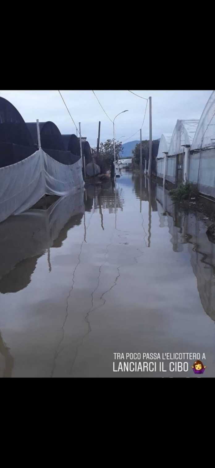 2cf2736c-6be1-4739-b9d7-084095b8ab73 (1)