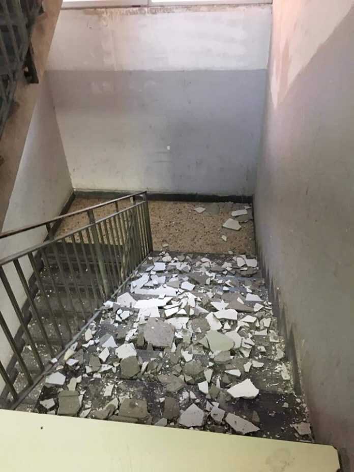 73523639_419022892123473_2412125449581756416_n