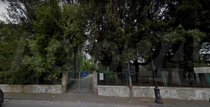 75453449_2435003126817520_8001699058005573632_o