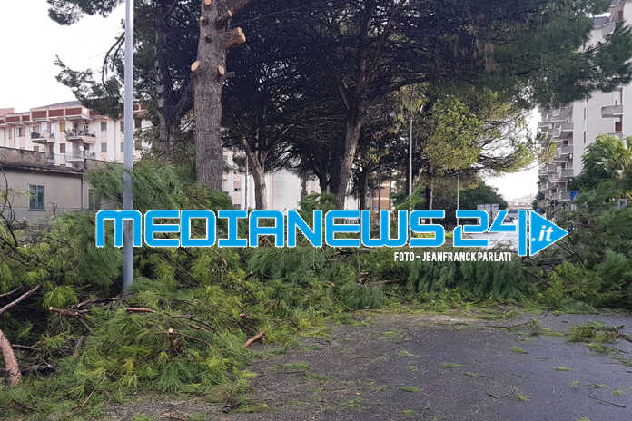 Angri – Iniziati i lavori di abbattimenti degli alberi nel “Rione Alfano”