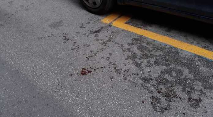 74522439_1004109853288864_2078902675369361408_n