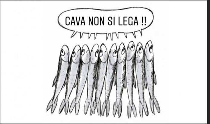 79251248_10218007677355774_2483059694923415552_n