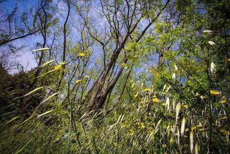 Scoperta officina abusiva, rifiuti speciali, carcassa di suv rubato e altro ancora