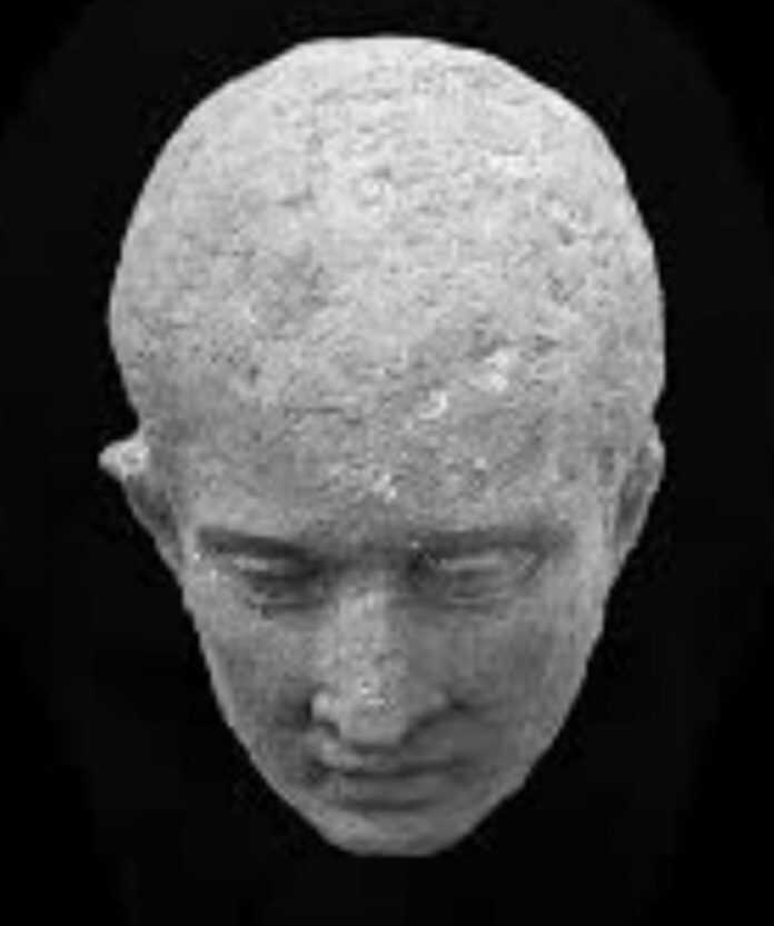 82296578_10212572021854656_4901349964468191232_n