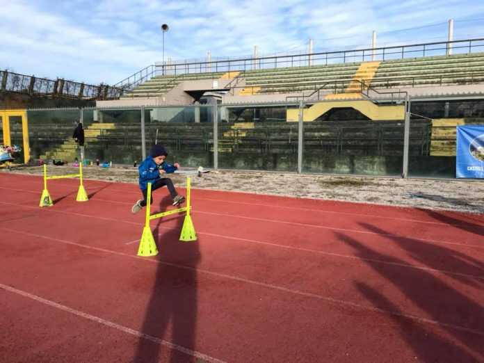 84895121_207347000661756_6901264282843873280_n