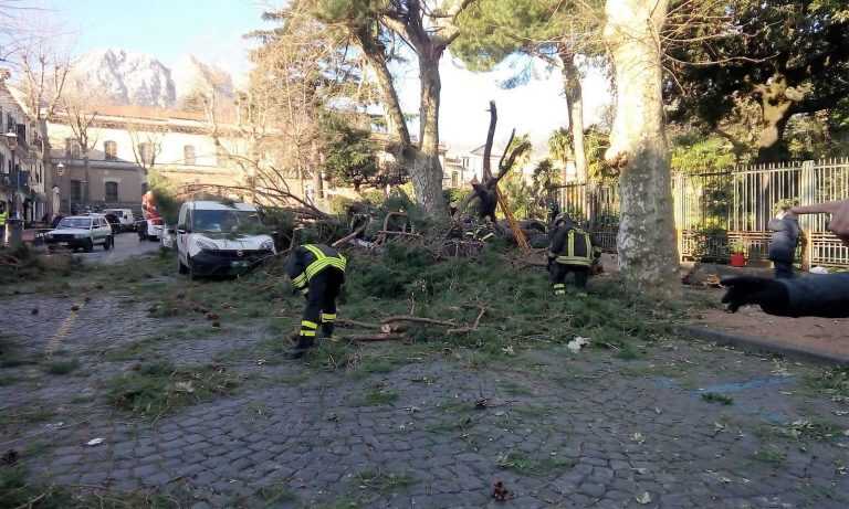 Cava de’ Tirreni, tragedia in mattinata, albero schiaccia e uccide un uomo